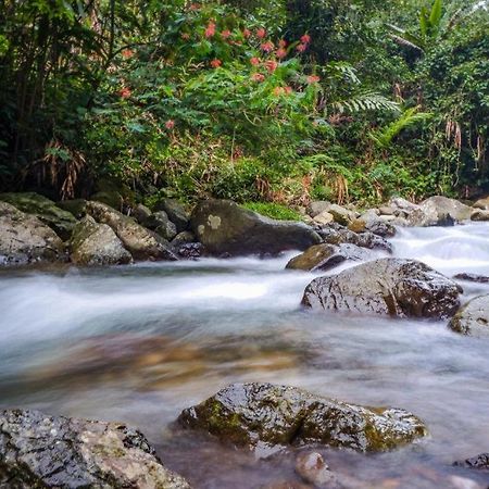 Hotel Oyo 93146 Lamin Indah Puncak Esterno foto