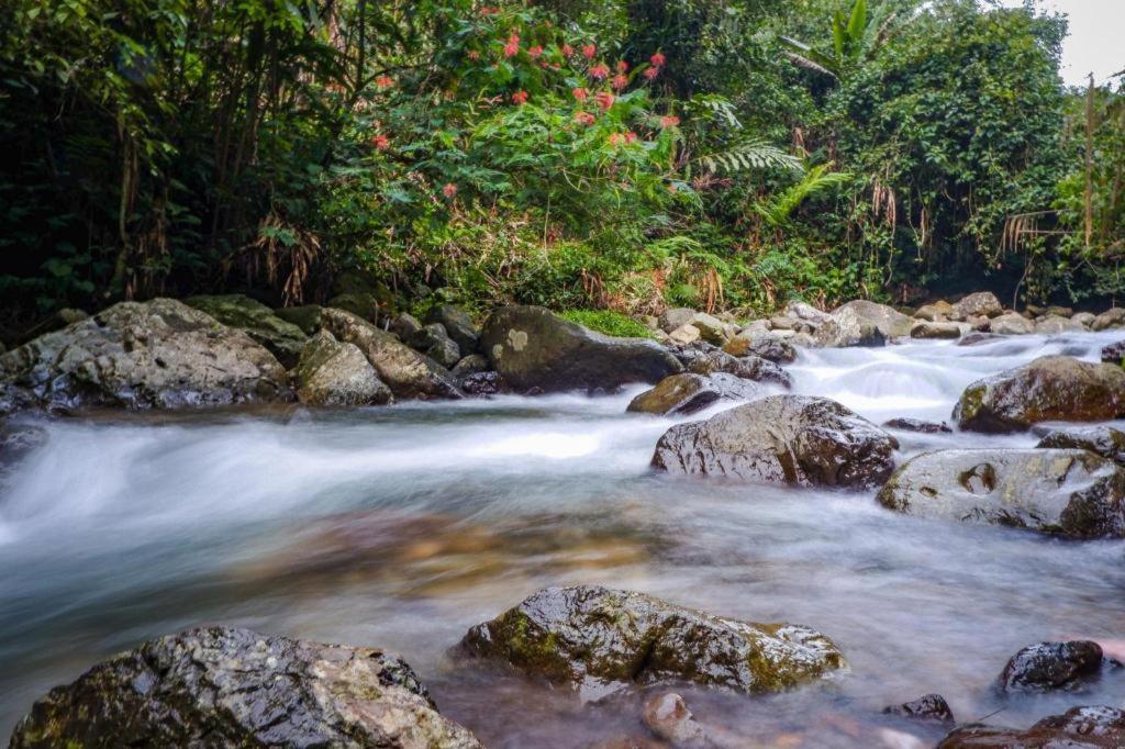 Hotel Oyo 93146 Lamin Indah Puncak Esterno foto